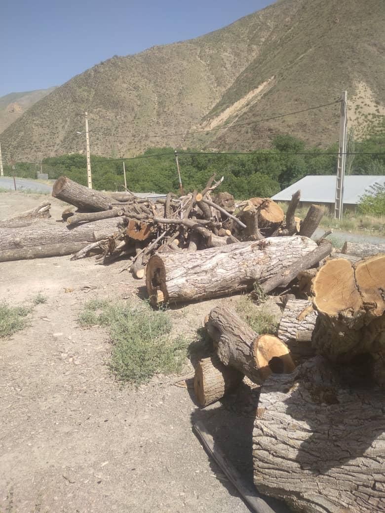 کارچوب بری|استخدام صنعتی، فنی، مهندسی|شوش, |دیوار