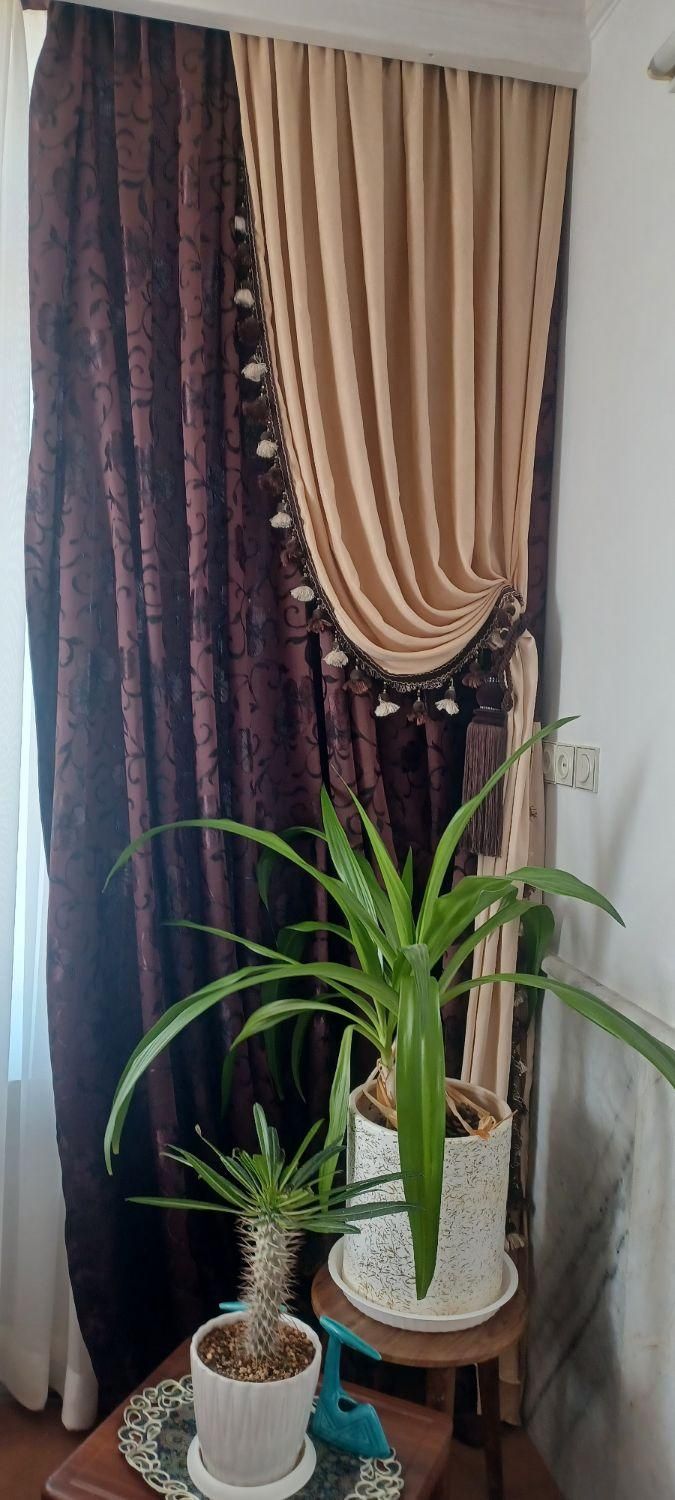 سرویس چوب لوازم منزل|زیورآلات و اکسسوری|قوچان, |دیوار