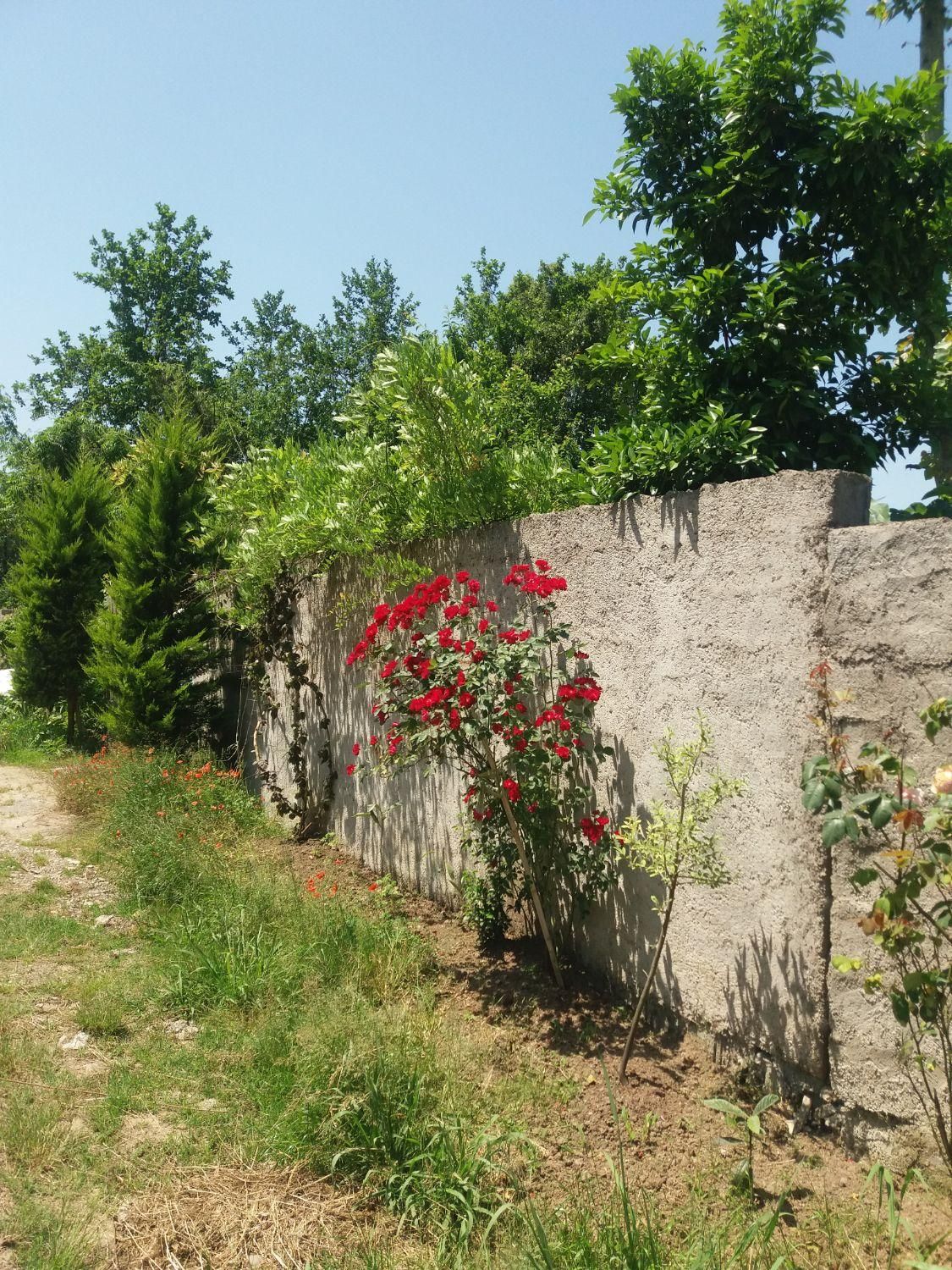 زمین 3000 متر چهار دیواری با سوئیت 60 متری سنددار|فروش خانه و ویلا|رشت, گلباغ نماز|دیوار