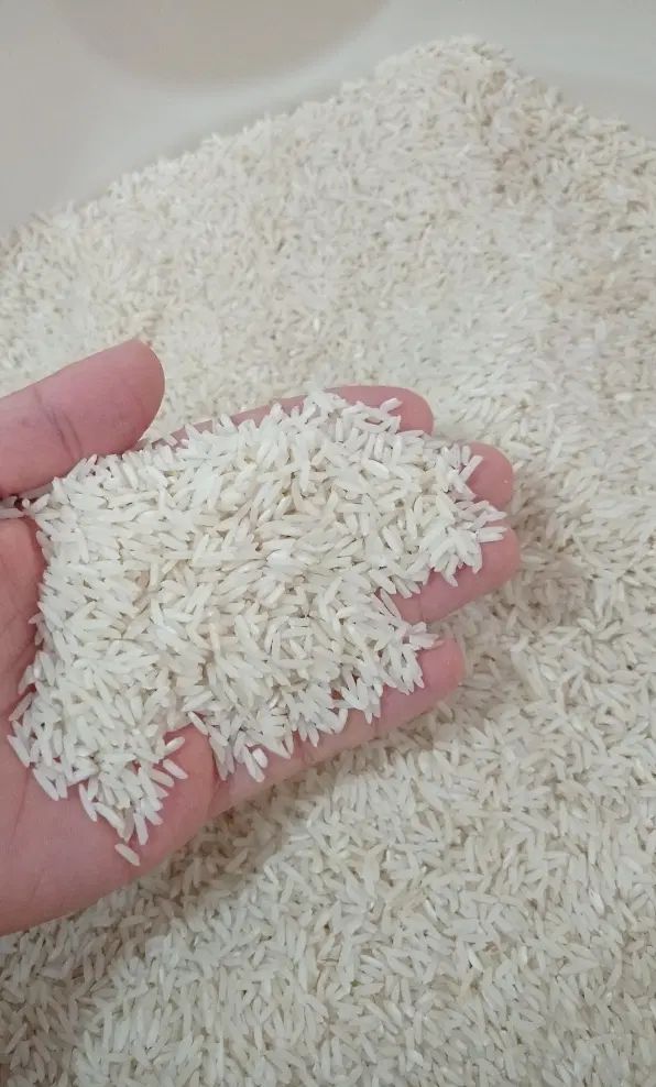 برنج هاشمی درشت دانه بلند امساله درجه یک|خوردنی و آشامیدنی|کیاشهر, |دیوار