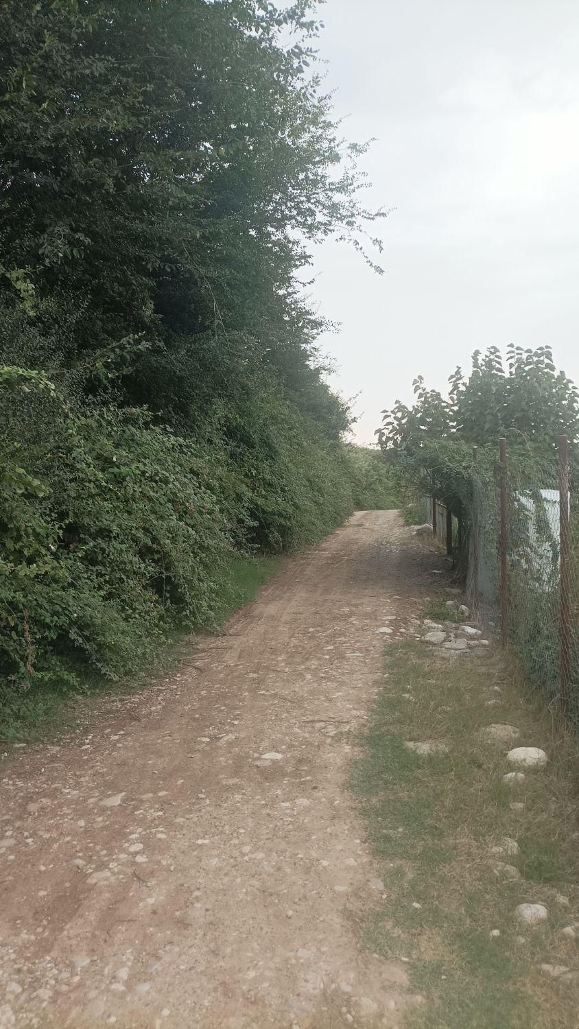 فروش زمین ۵۰۰ متری روستای سعد آباد گرگان|فروش زمین و ملک کلنگی|گرگان, |دیوار