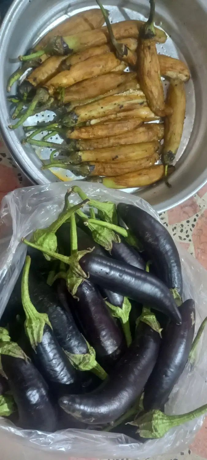بادمجان کبابی|خوردنی و آشامیدنی|رشت, شهرک صبا|دیوار
