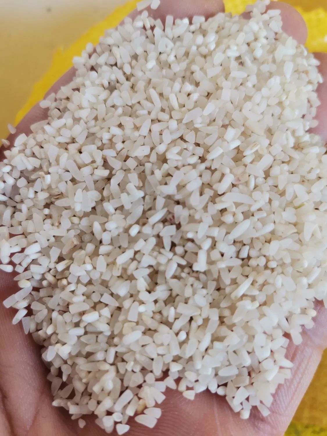برنج لاشه (نیمدانه) فجر سوزنی معطر اعلی بشرط پخت|خوردنی و آشامیدنی|گرگان, |دیوار