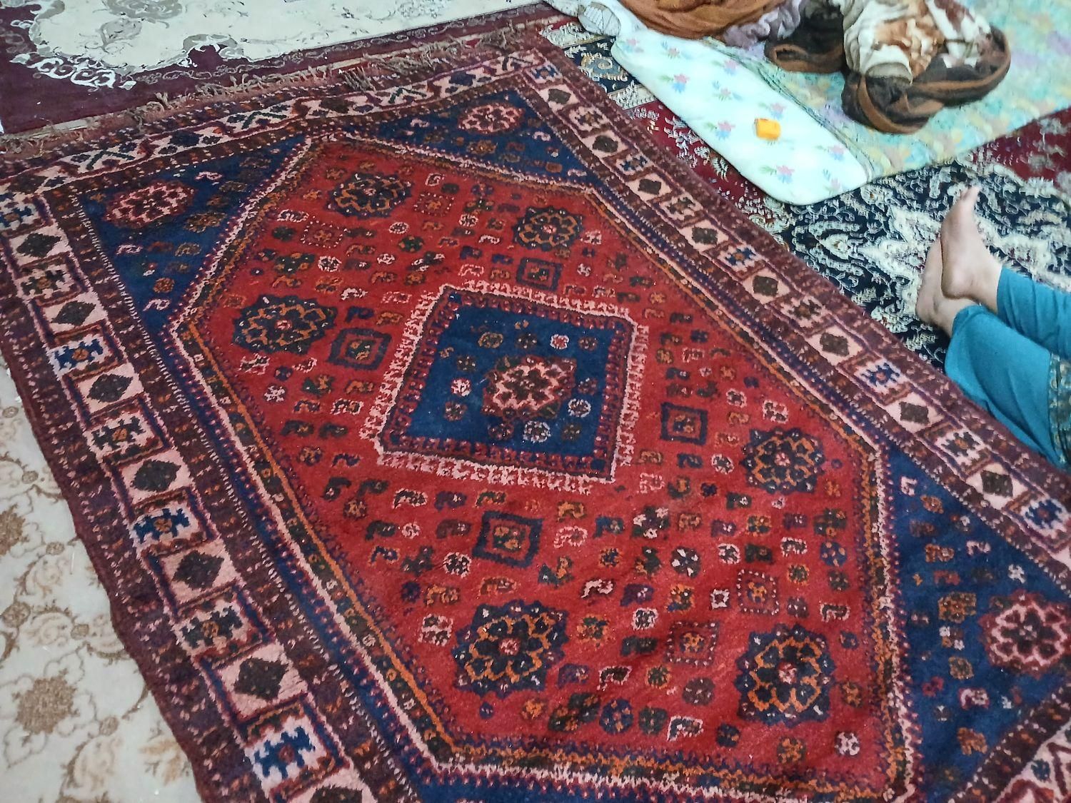 فرش دستباف|فرش|برازجان, |دیوار