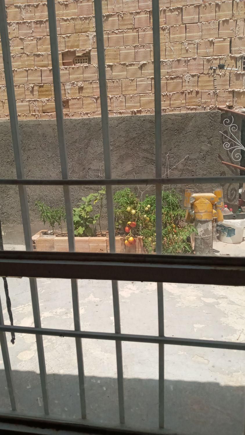 تصویر 7