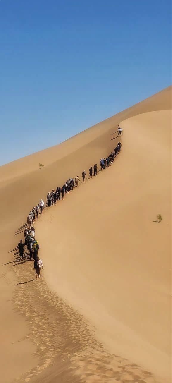 حرفه ای کویر،کاشان گردی ،آفرود، اقامت تجربه کنید|تور و چارتر|کاشان, بازار کاشان|دیوار