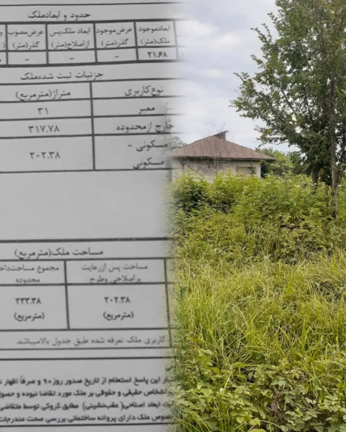 زمین روستایی با مدارک کامل|فروش زمین و ملک کلنگی|رشت, چمارسرا|دیوار