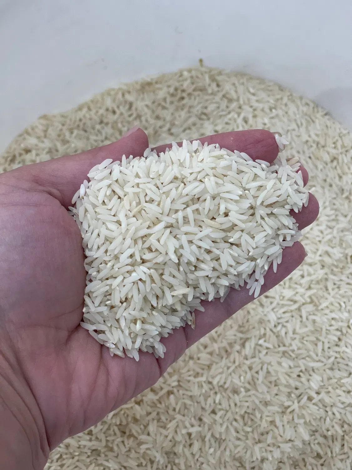 برنج طارم هاشمی اعلا|خوردنی و آشامیدنی|تهران, دکتر هوشیار|دیوار