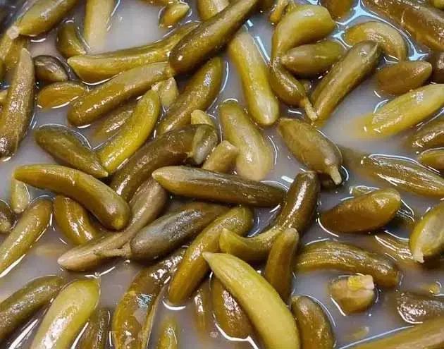 خیارشور عمده|خوردنی و آشامیدنی|اصفهان, لنبان|دیوار