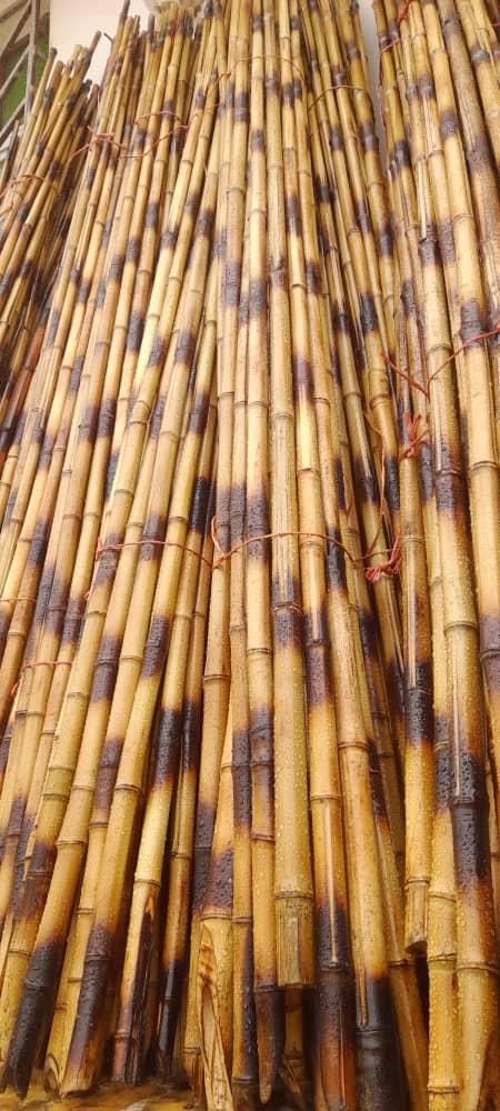 بامبو و عصا لوله‌‌. سند پلاست شده معمولی|صنایع دستی و سایر لوازم تزئینی|شلمان, |دیوار