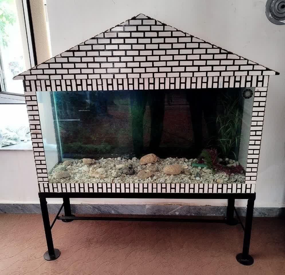 آکواریوم|ماهی|صوفیان, |دیوار