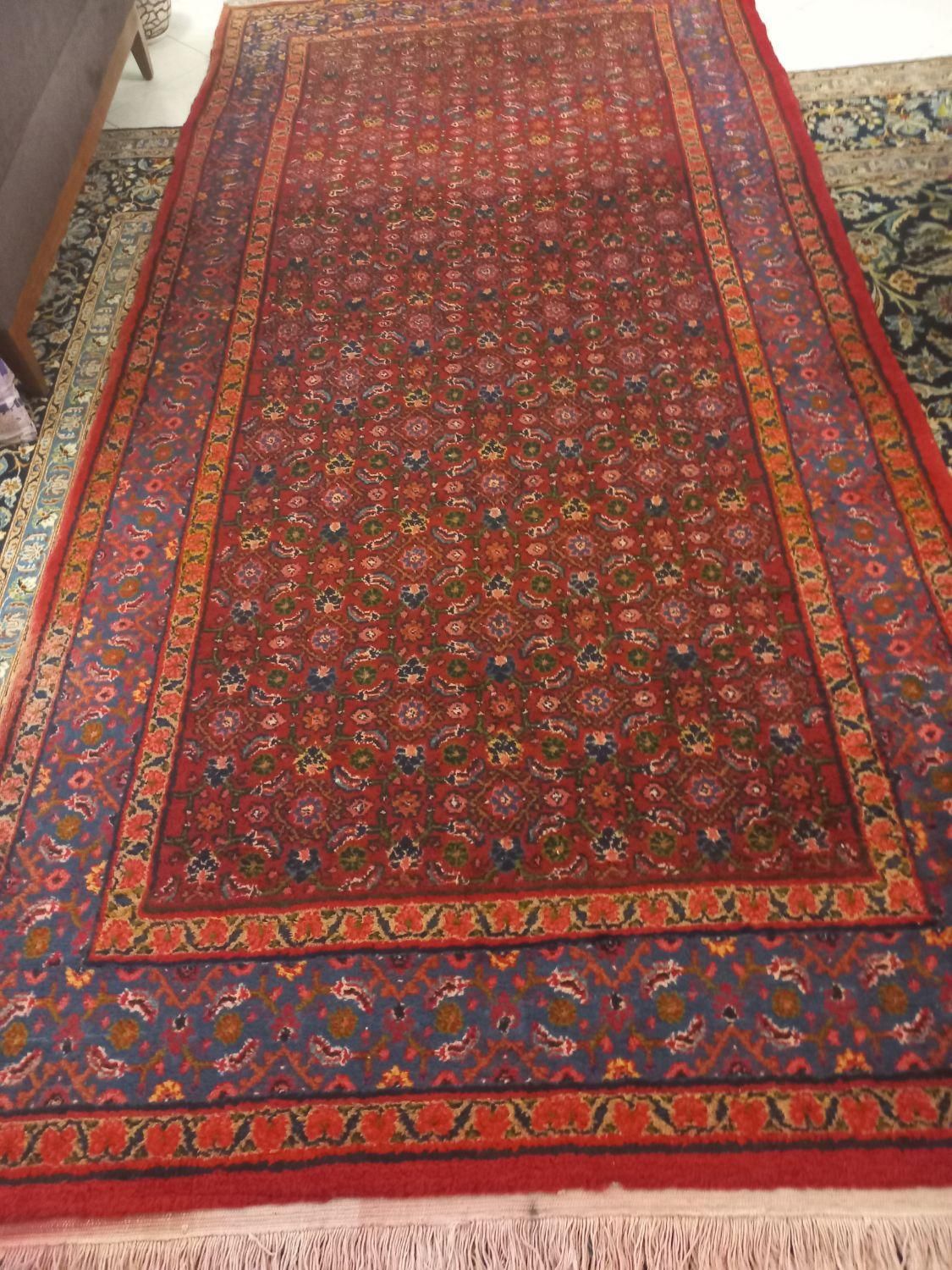 فرش قالیچه قالی دستبافت ماهی ۶متری کناره|فرش|تهران, امیر بهادر|دیوار