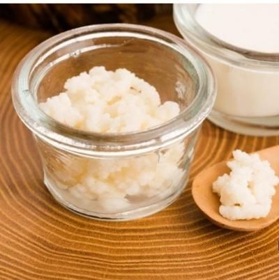 قارچ و دوغ کفیر|خوردنی و آشامیدنی|مشهد, گلبرگ شمالی|دیوار
