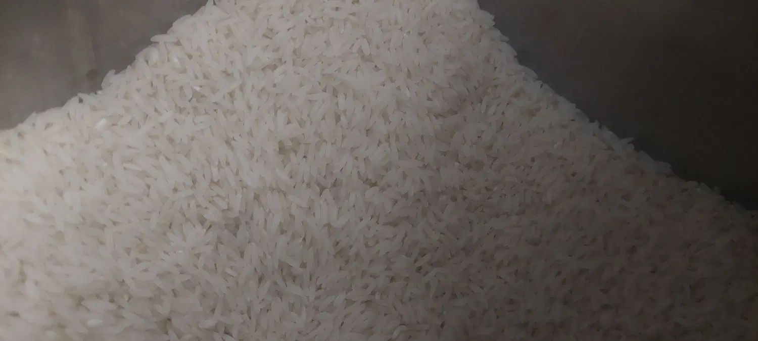 برنج هاشمی(گیلان) درجه یک|خوردنی و آشامیدنی|تهران, مرزداران|دیوار