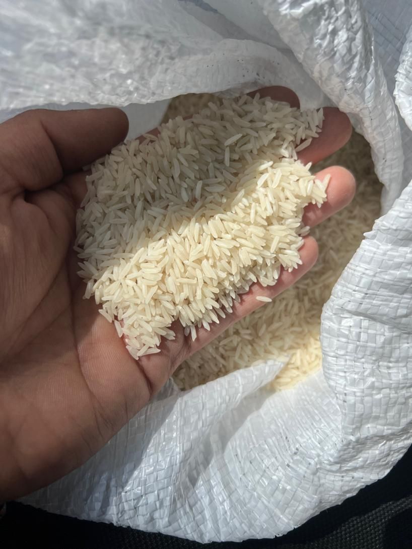 برنج شمال کشت اول (طارم هاشمی) اعلا|خوردنی و آشامیدنی|اصفهان, احمدآباد|دیوار