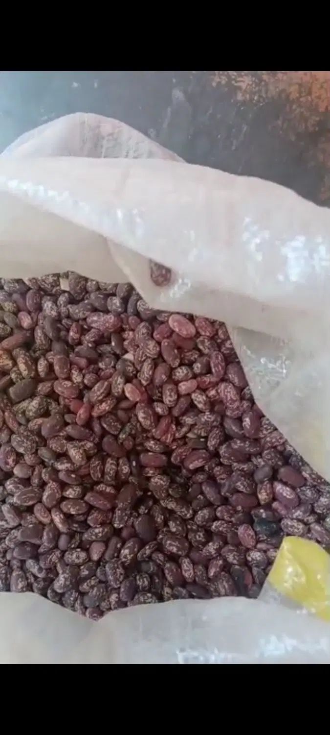 لوبیاقرمز کیلویی ۱۰۰تومان چیتی ۲۰۰عدس ۱۰۰نخود۱۱۰|خوردنی و آشامیدنی|پاکدشت, پاکدشت (مامازند)|دیوار