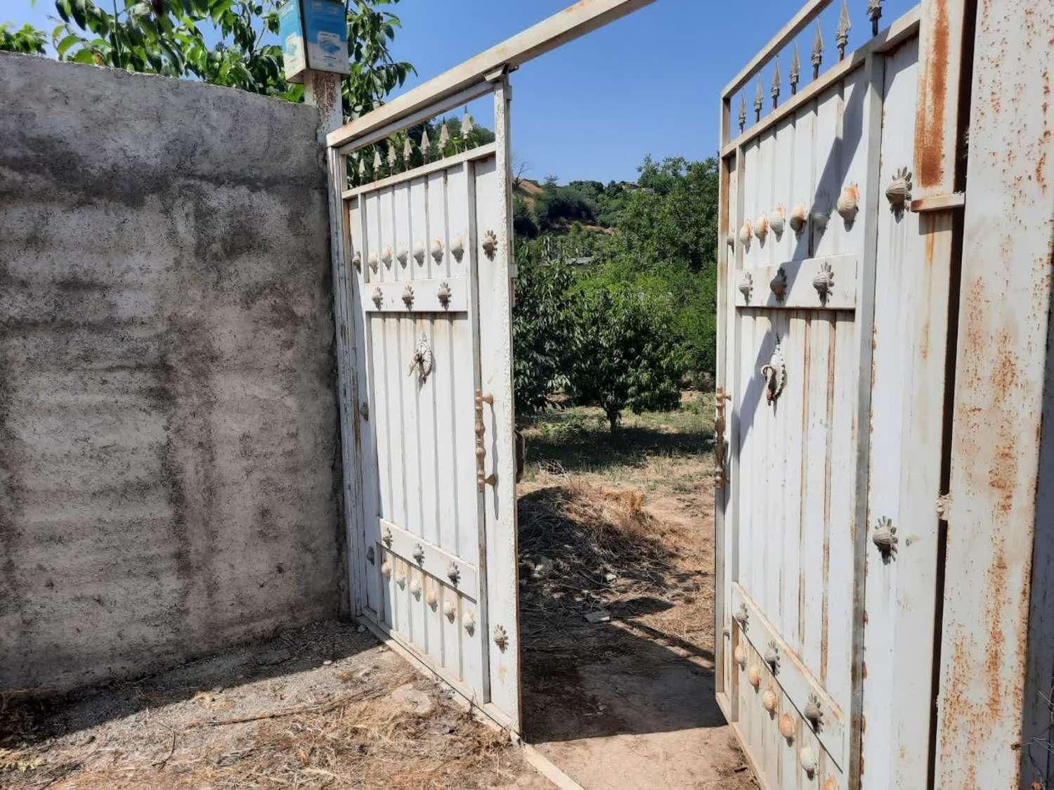 فروش زمین 900 متری روستای تیرتاش مازندران|فروش زمین و ملک کلنگی|گلوگاه, |دیوار