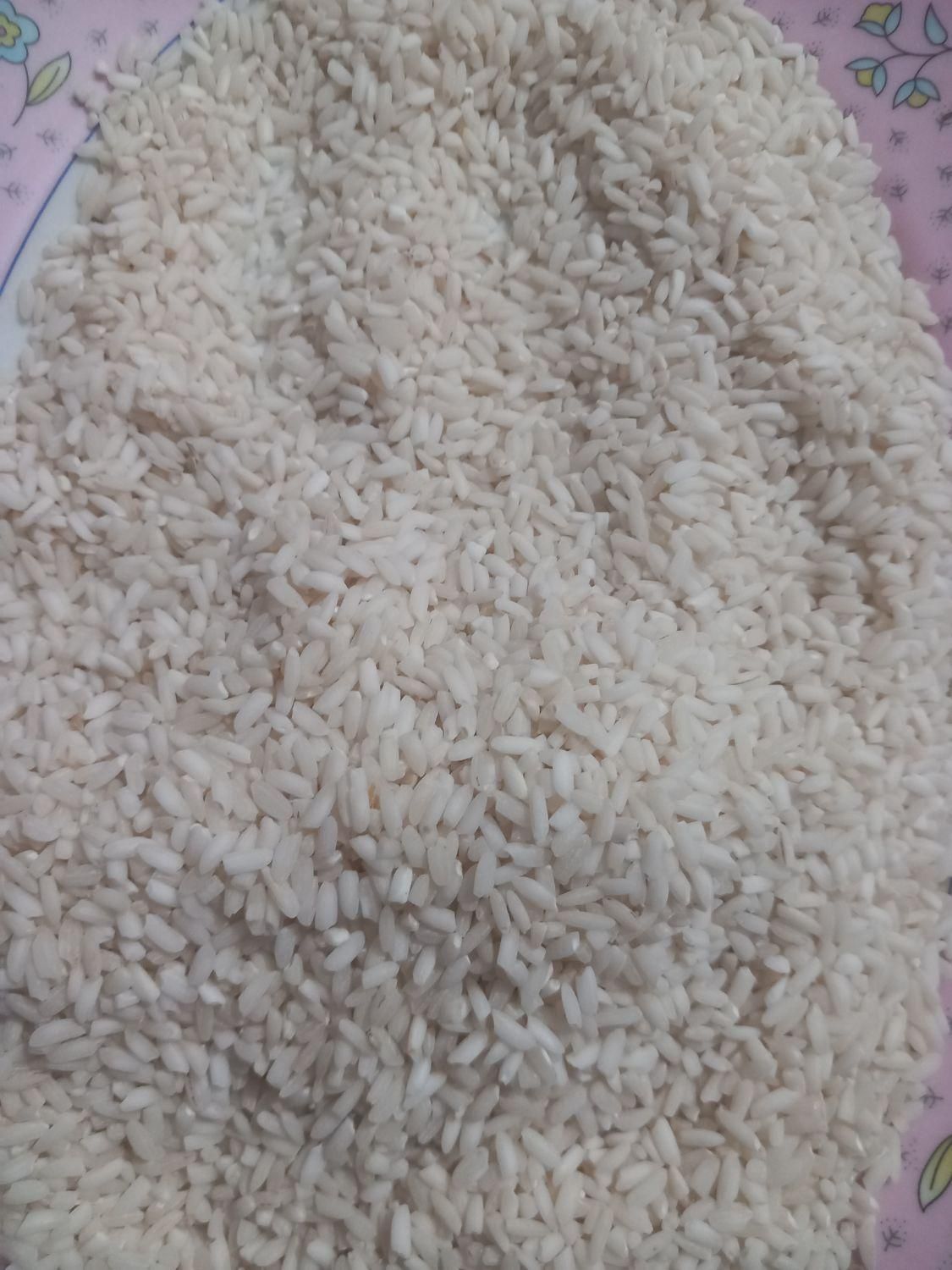 برنج عنبربو|خوردنی و آشامیدنی|اهواز, دغاغله|دیوار