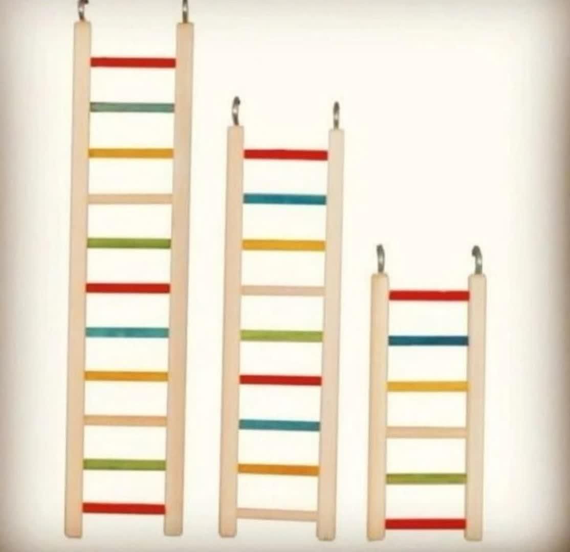 آشیانه چوبی مخصوص عروس هلندی - عمده و تکی|لوازم جانبی حیوانات|اصفهان, قائمیه|دیوار