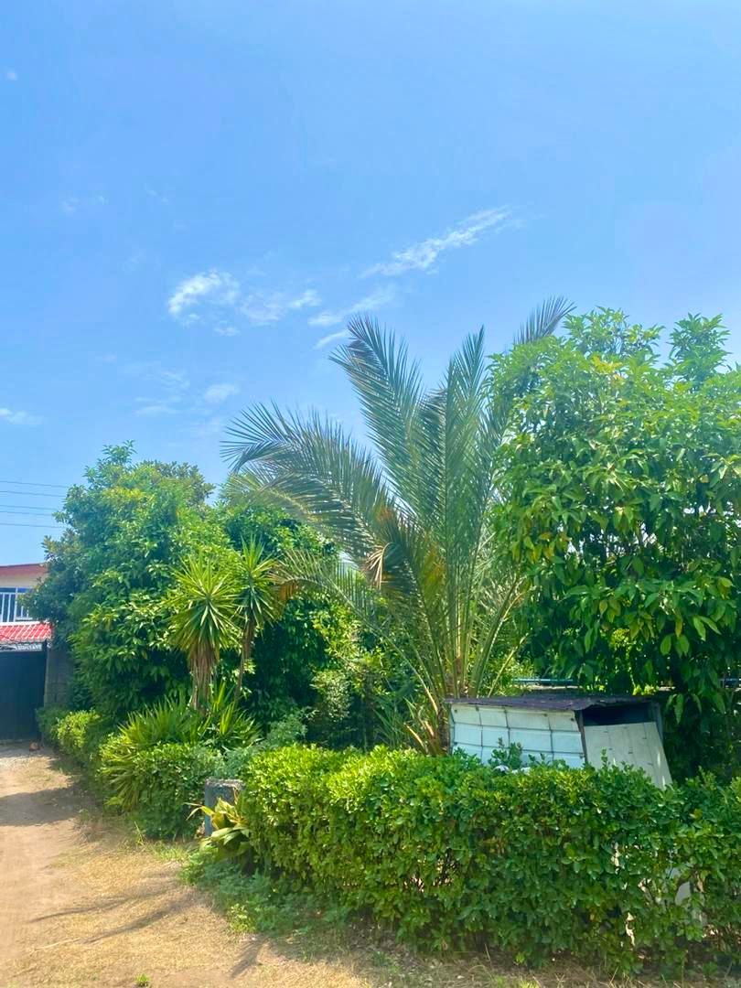 اجاره ویلا چمخاله|اجارهٔ کوتاهمدت ویلا و باغ|چاف و چمخاله, |دیوار