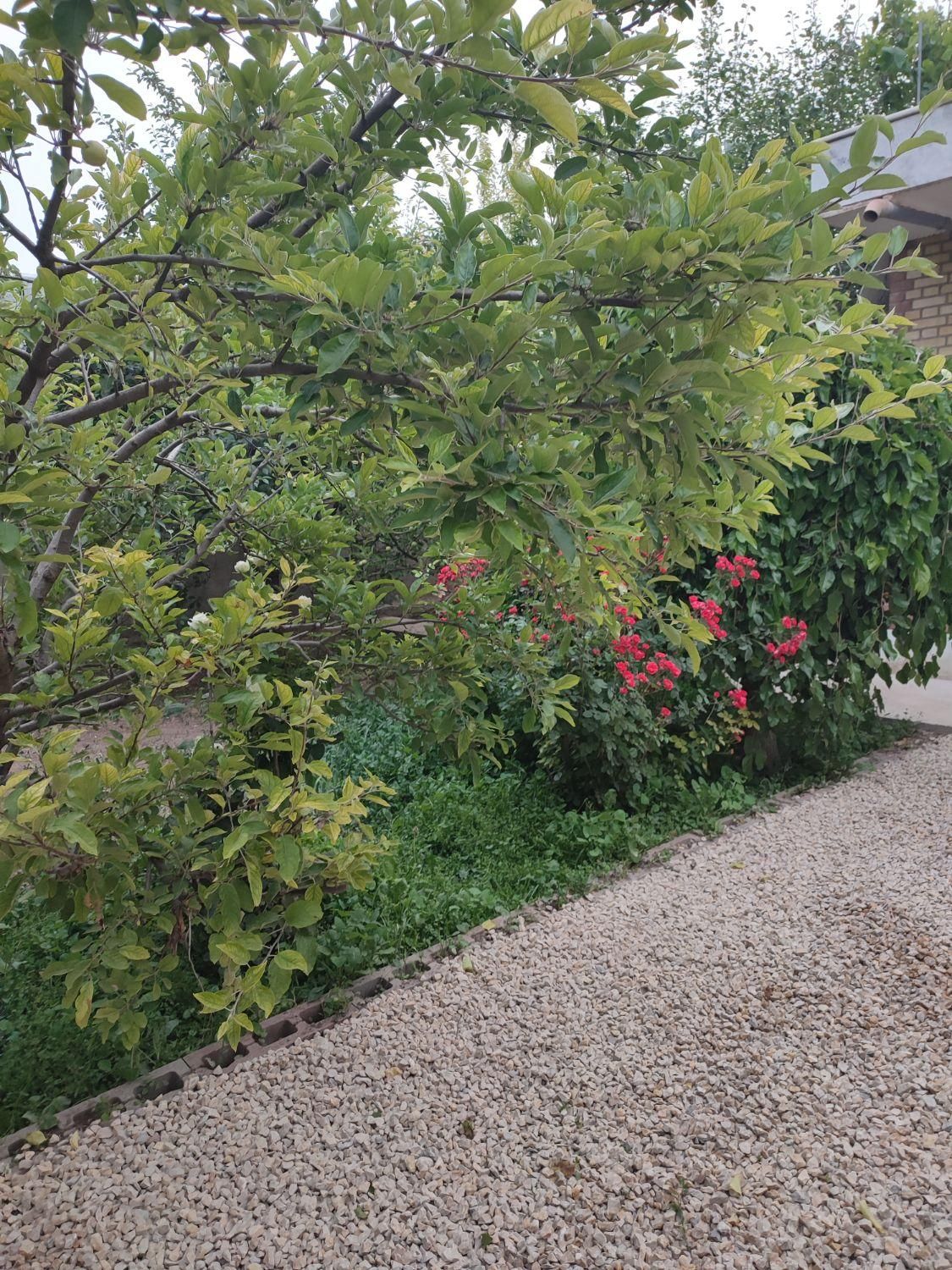 ویلا باغ دربستی اجاره روزانه وهفتگی|اجارهٔ کوتاه‌مدت ویلا و باغ|اردبیل, |دیوار