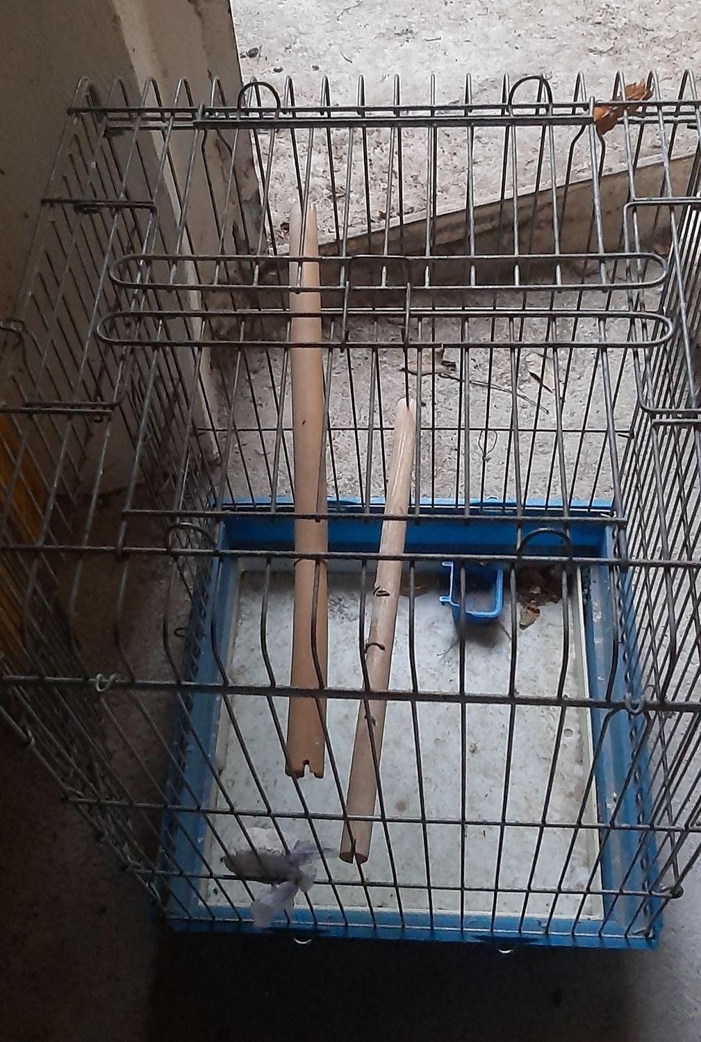 وسایل منزل|فرش|کرج, شهرک فهمیده|دیوار