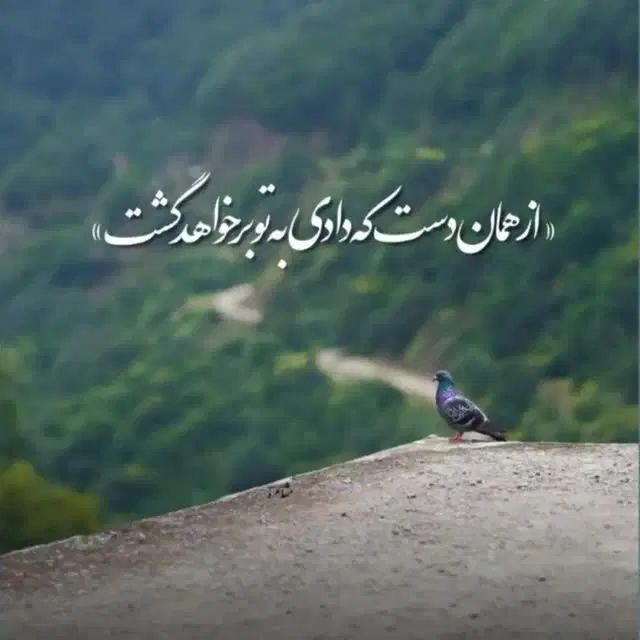 مدارک گم کردم پیدا کردید تورو خدا خبر بدید|اشیا|ملایر, |دیوار