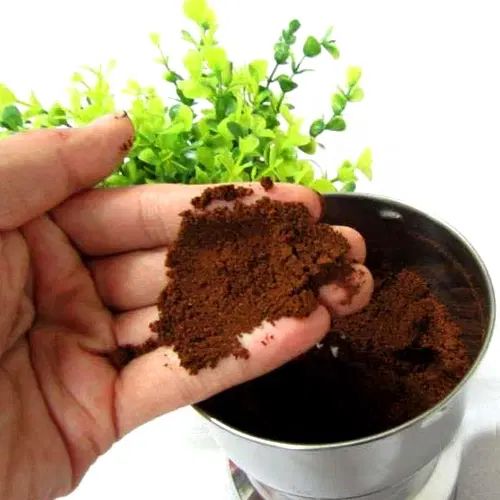 آسیاب برقی|خردکن، آسیاب، غذاساز|تهران, خزانه|دیوار
