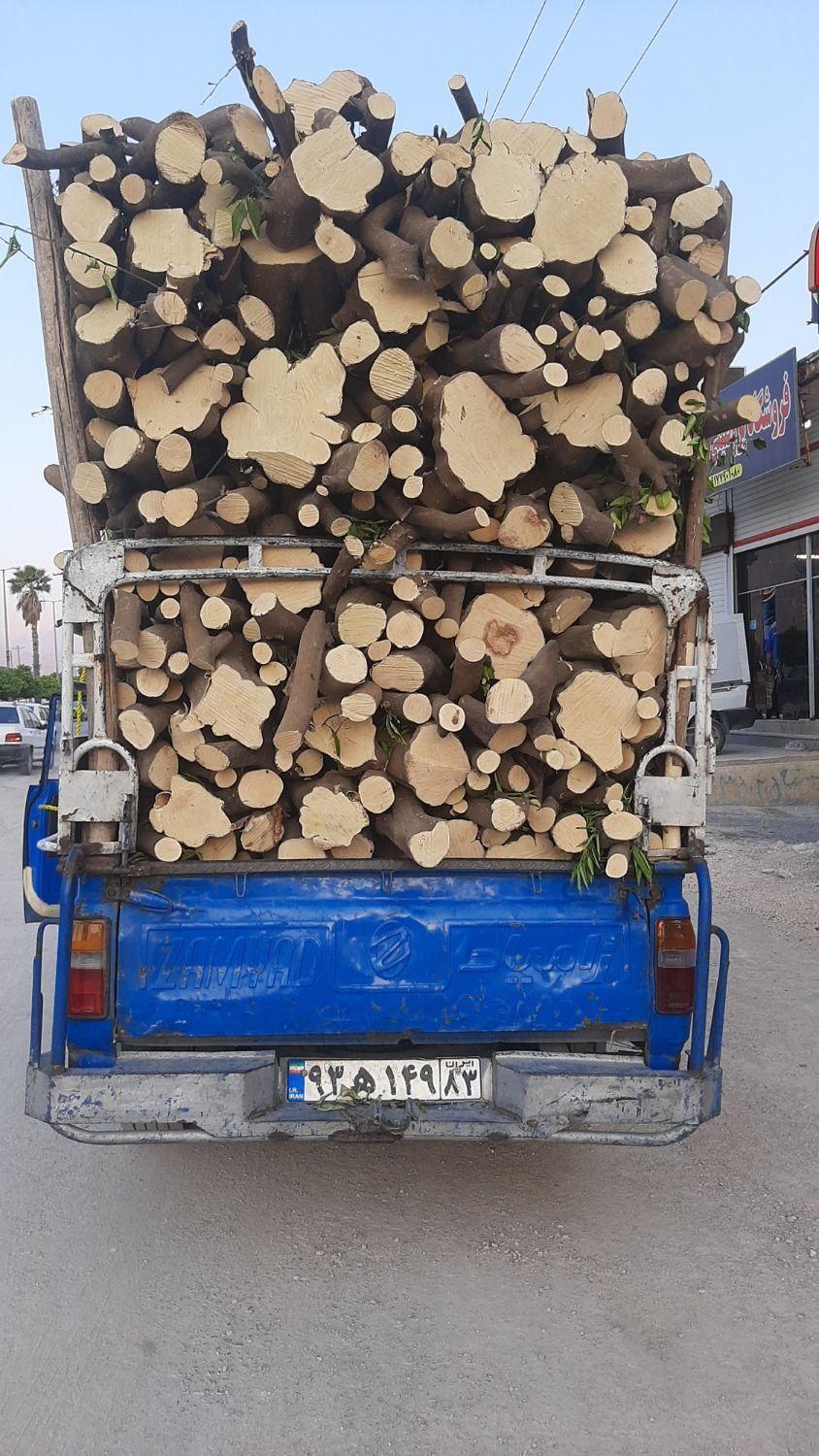 خریدارچوب وبریدن درخت|خدمات باغبانی و درختکاری|بندرعباس, |دیوار