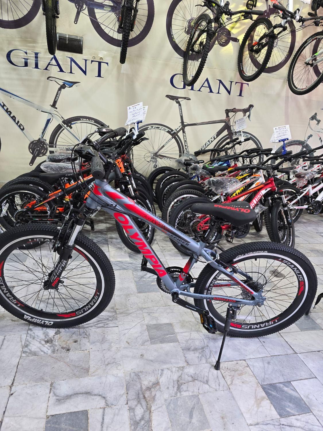 دوچرخه ۲۴ المپیا اسپایدر   OLYMPIA SPIDER|دوچرخه، اسکیت، اسکوتر|قزوین, |دیوار