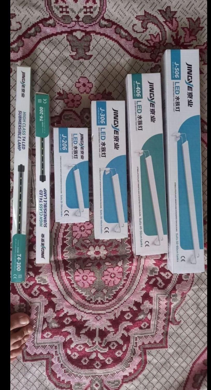 لوازم اکواریوم و پلنت|ماهی|محمدشهر, شهرک چمران|دیوار