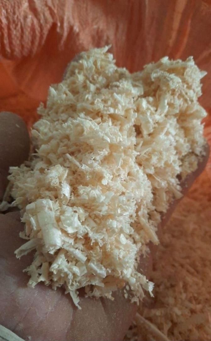 پوشال و تراشه چوب خاک اره چوب|عمدهفروشی|مشهد, امیر|دیوار