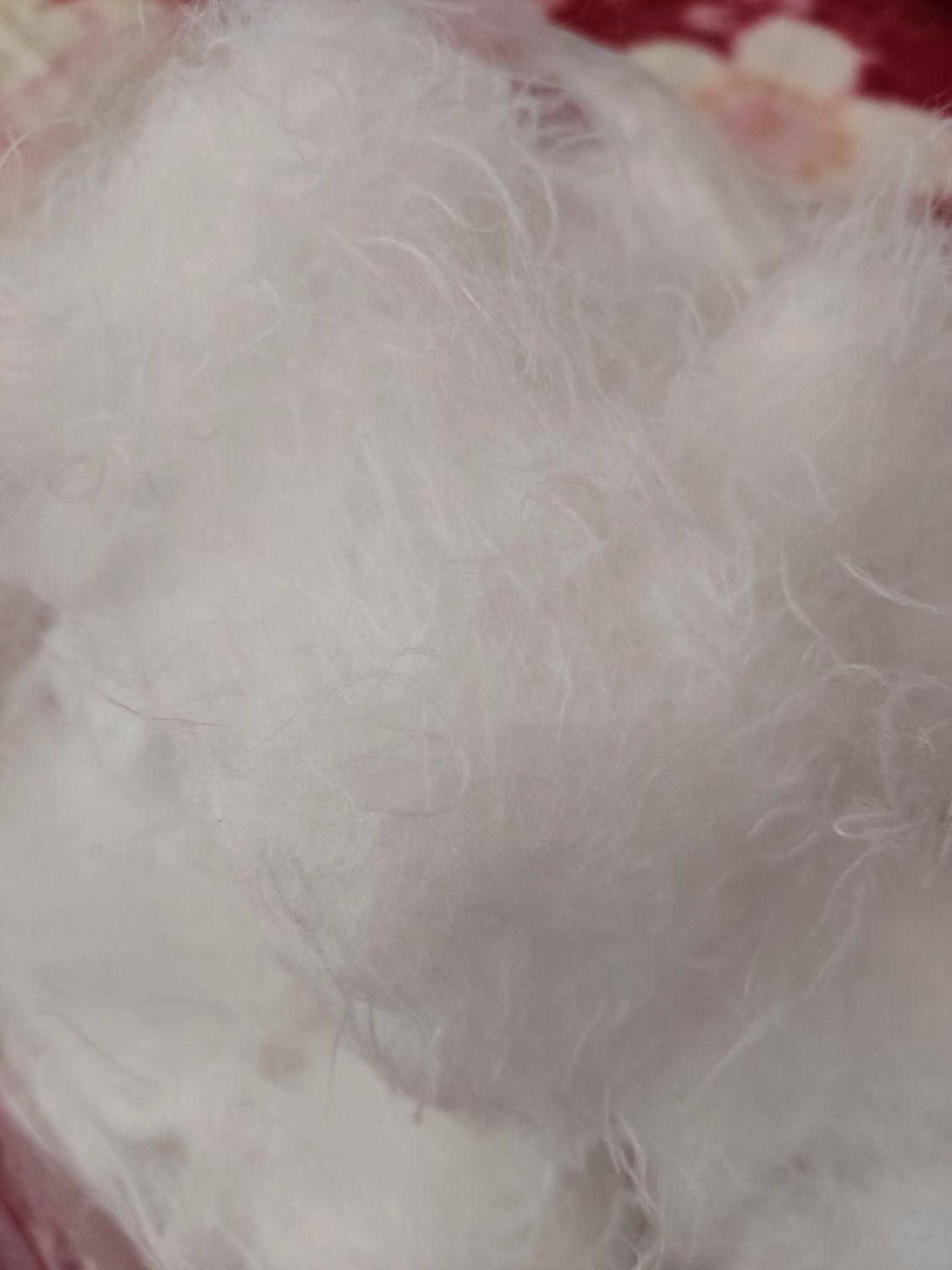 الیاف سفید مخصوص تشک و بالش وکوسن وعروسک|رختخواب، بالش، پتو|خمینی‌شهر, |دیوار