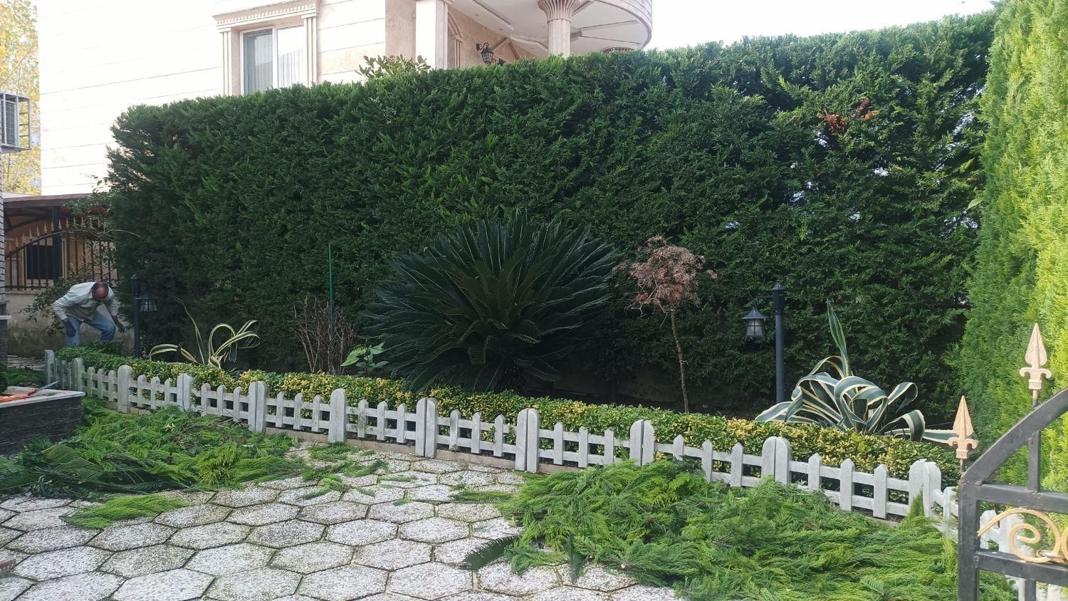 گلکاری و هرس و سمپاشی|خدمات باغبانی و درختکاری|نوشهر, |دیوار