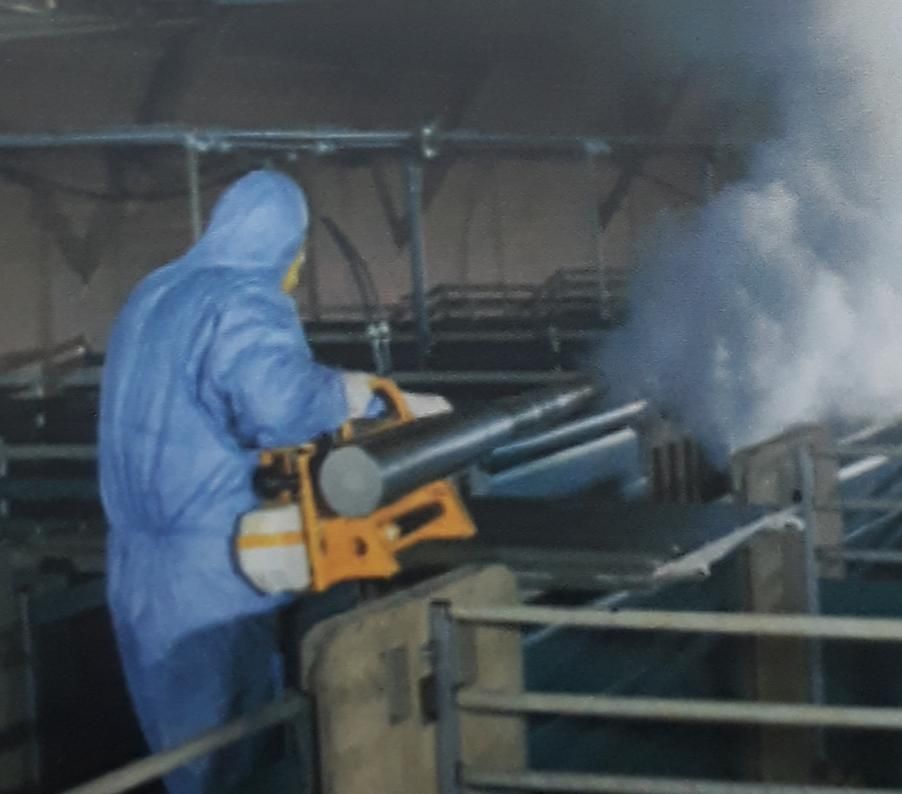 سمپاشی تضمینی سوسک ساس موش مورچه حشرات موذی|خدمات نظافت|تبریز, |دیوار