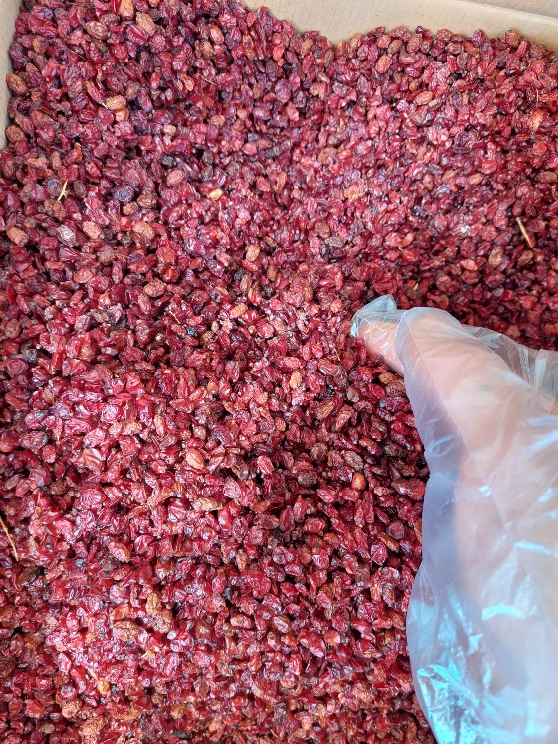 زرشک اناری عمده|خوردنی و آشامیدنی|اصفهان, نقش جهان|دیوار