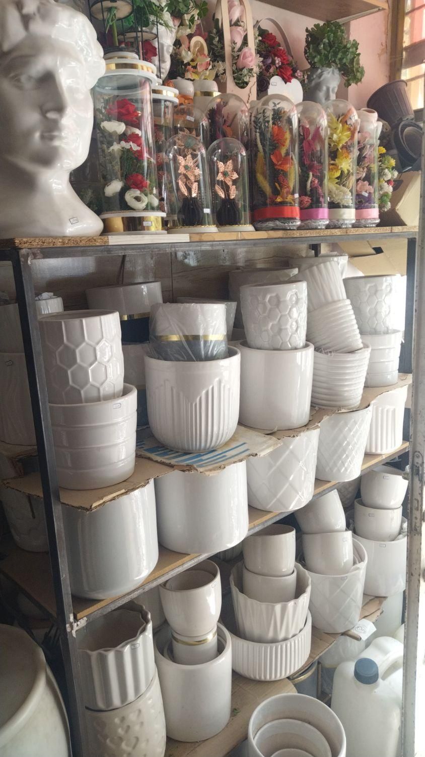 استند گل گلفروشی رز جاویدان|گل و گیاه طبیعی|بروجن, |دیوار