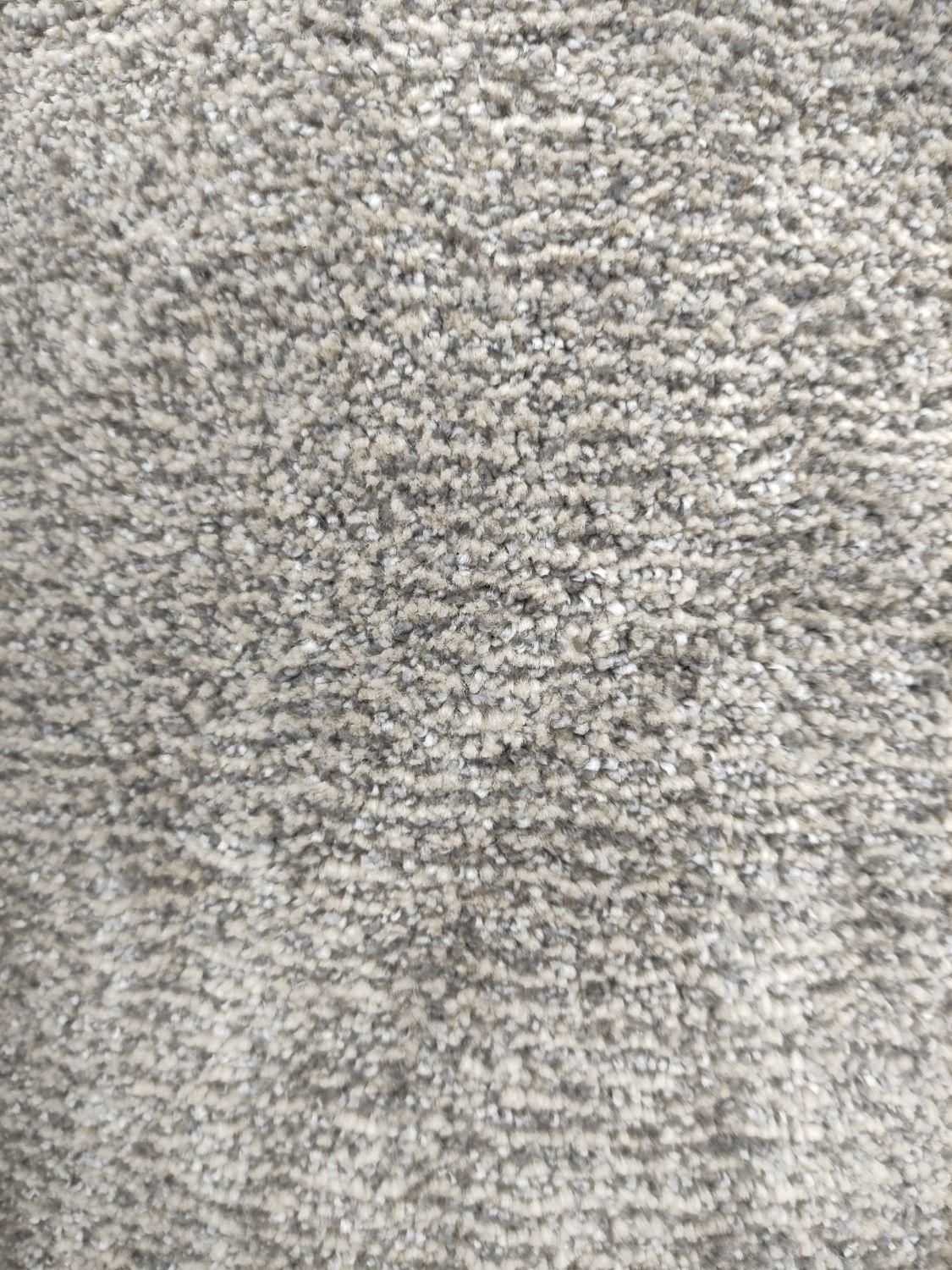 موکت پلازا پرز بلند|موکت|شهریار, شهریار|دیوار