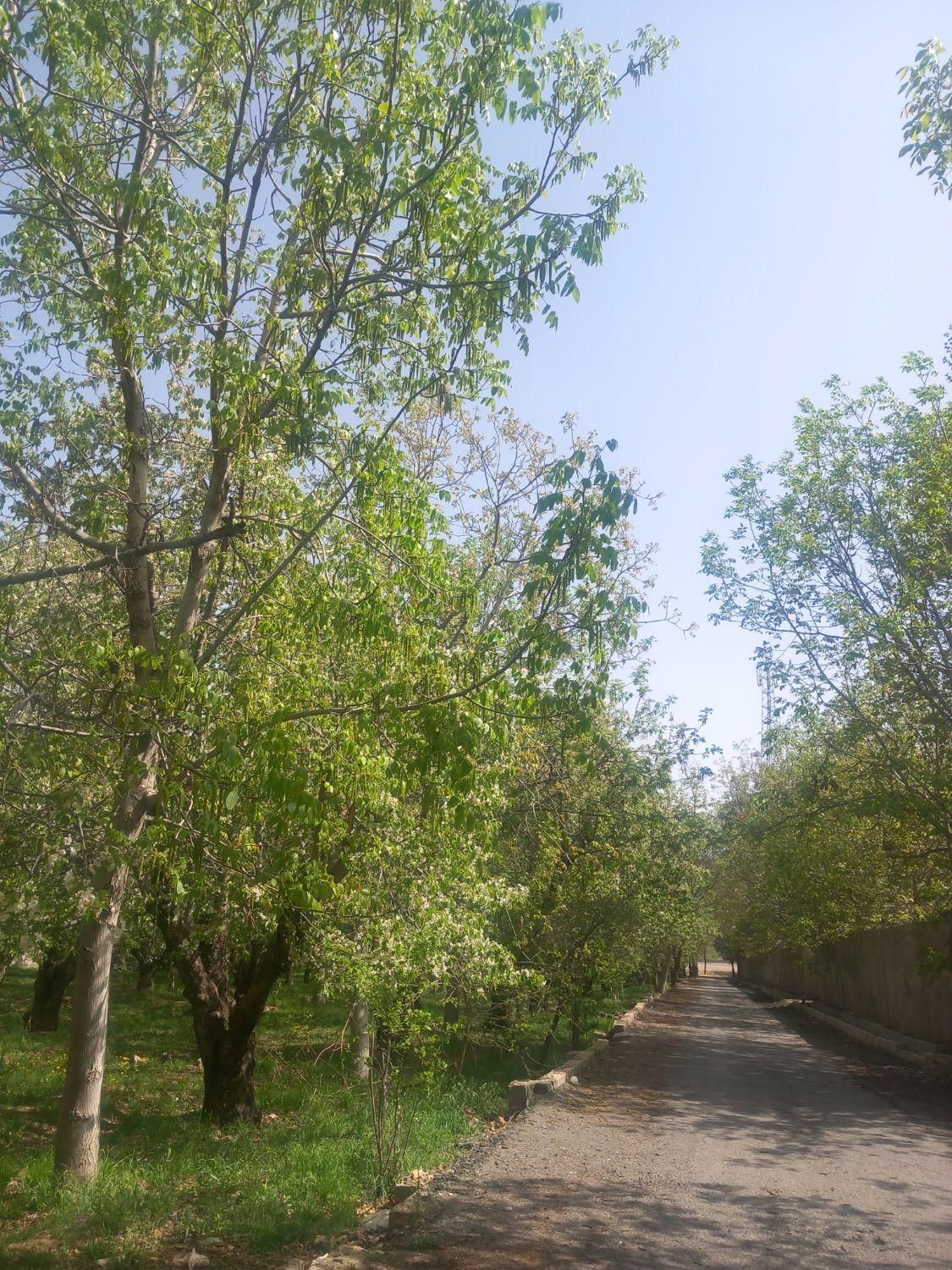 کردان کوهسار باغ شهرکی سندار ۱۰۰۰متر تهاتر باملک|فروش زمین و ملک کلنگی|کوهسار (البرز), |دیوار