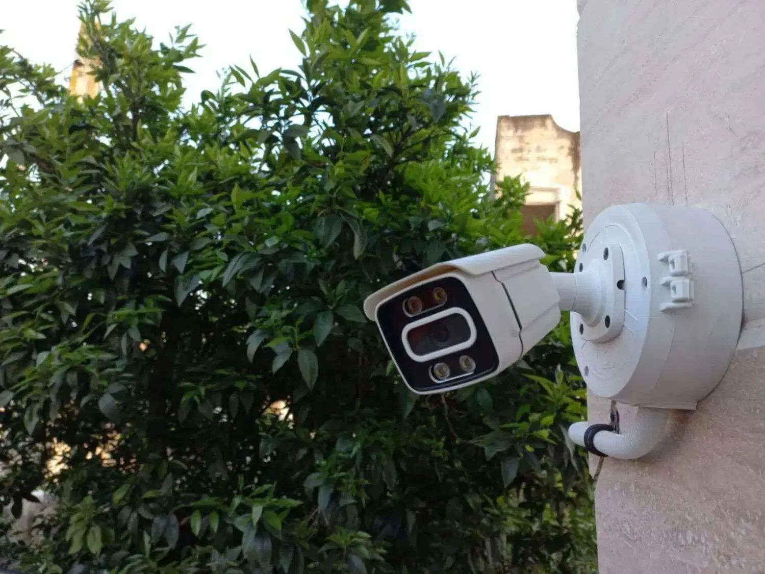 دنیارو هم بگردی سلطان دوربین/همینجاس تور|تور و چارتر|سبزوار, کاشفی شمالی (دادگستری)|دیوار