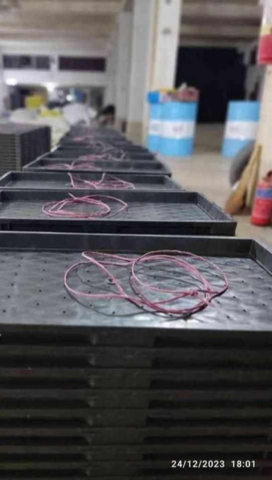 نشا سینی نشا توم باکس نشا برنج|خدمات باغبانی و درختکاری|رشت, دباغیان|دیوار