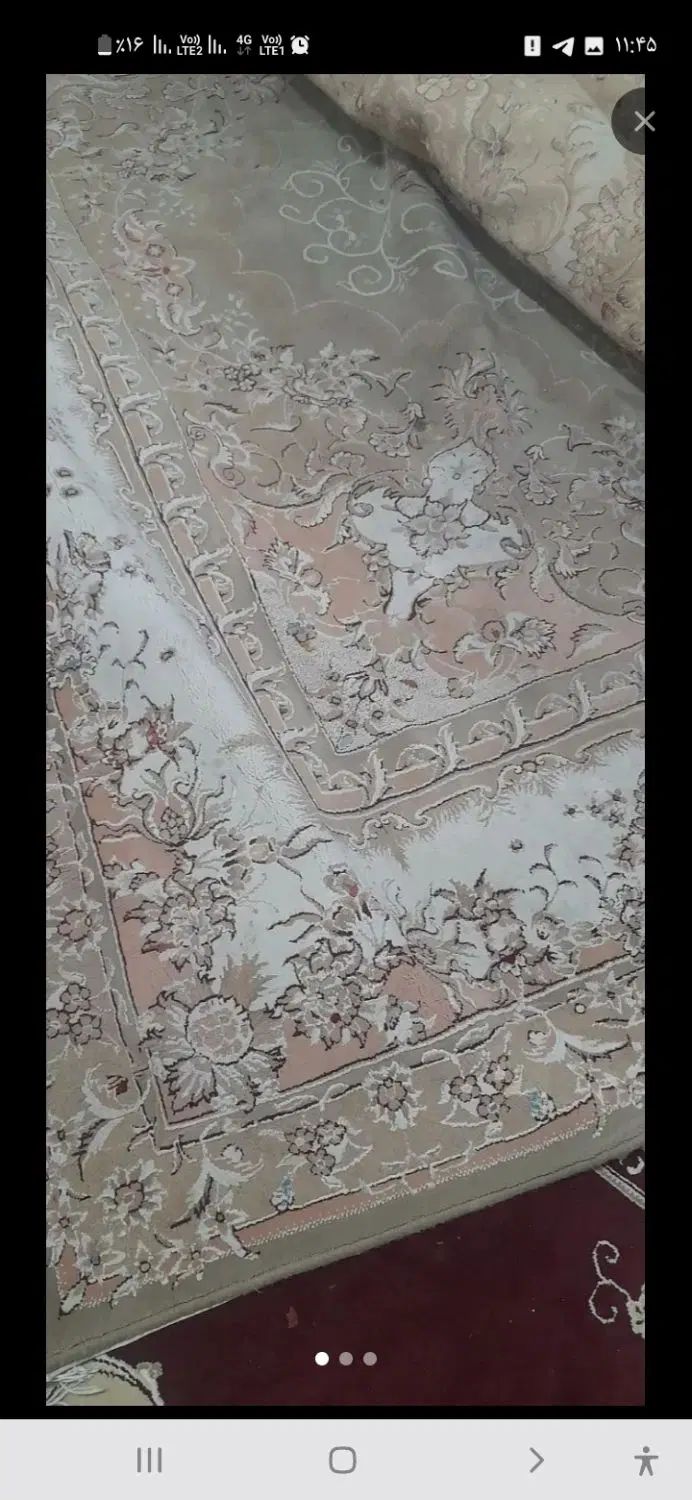 دوتخته  فرش ۱۲ متری گلبرجسته|فرش|مشهد, گلبرگ شمالی|دیوار