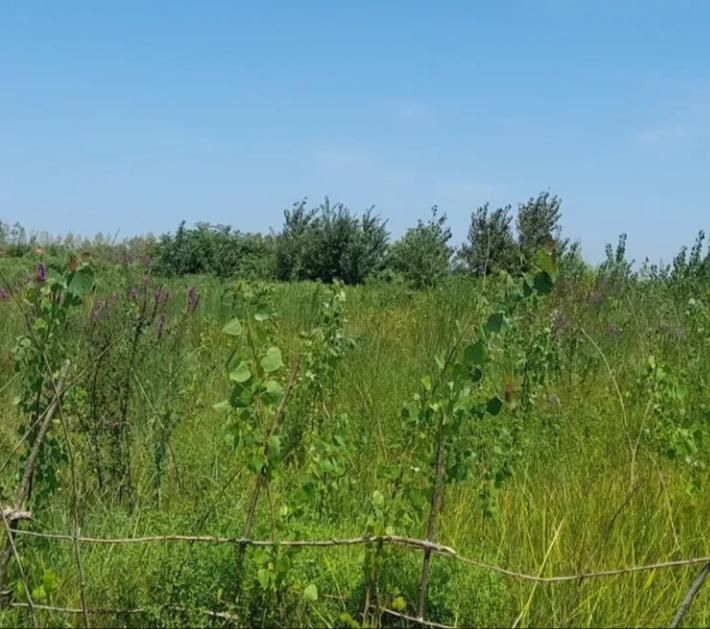 ۵۰۰ متر زمین مسکونی  واقع درجاده  رشت فومن آتشگاه|فروش زمین و ملک کلنگی|رشت, آتشگاه|دیوار