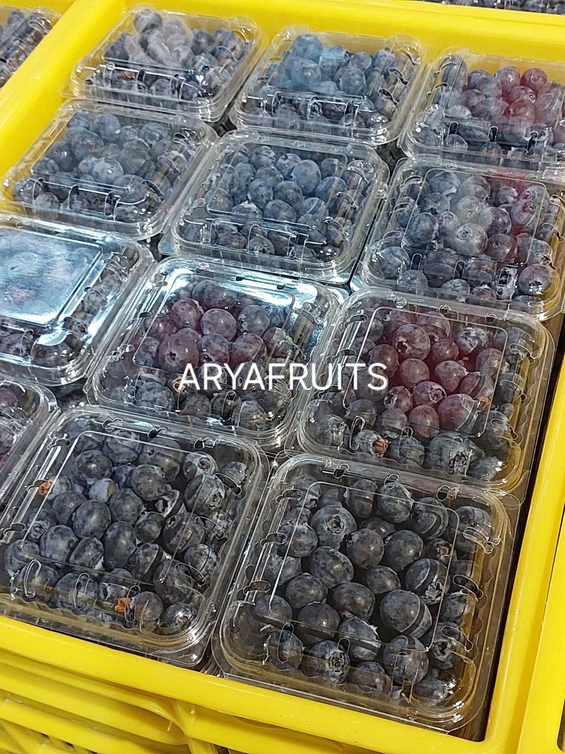 بلوبری فریز و تازه ایرانی گلخانه ای|خوردنی و آشامیدنی|تهران, شهرک شریعتی|دیوار