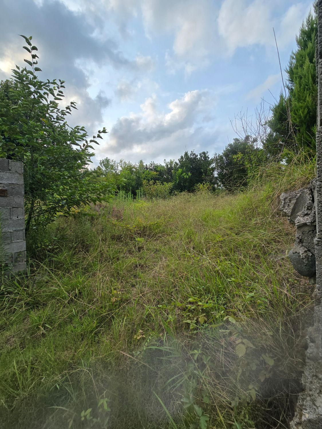 فروش زمین با پروانه ساختمان در رضامحله|فروش زمین و ملک کلنگی|کلاچای, |دیوار