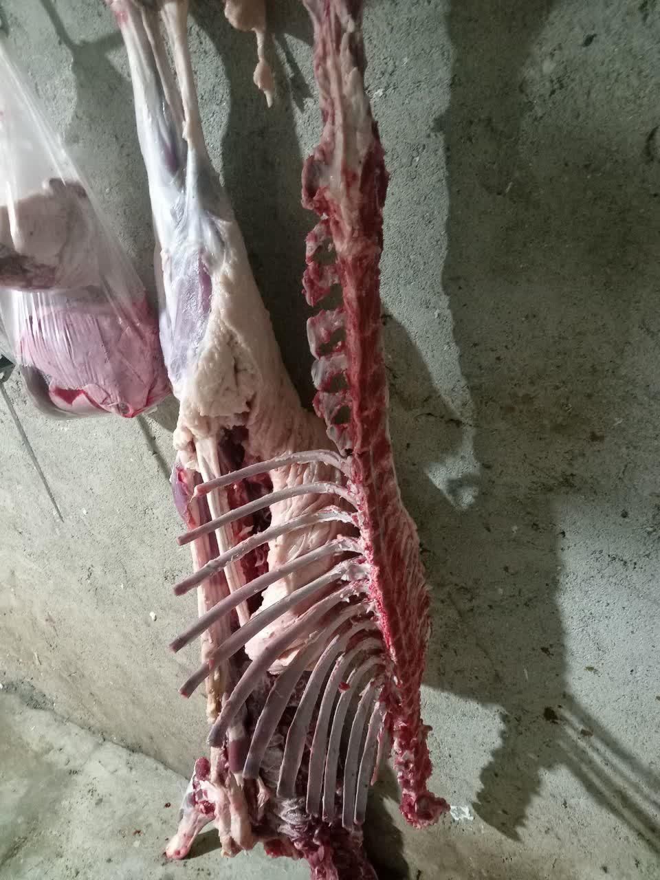 قصاب وسلاخ مجرب صفرتاصد|خدمات پذیرایی، مراسم|همدان, |دیوار