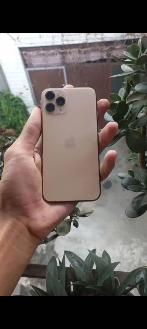 iPhone 11 Pro 256 LAA|موبایل|رشت, جماران|دیوار