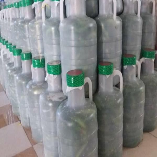 پخش خیار شور شیروان (پخش خیارشور رنجبر)|خوردنی و آشامیدنی|مشهد, نوید|دیوار