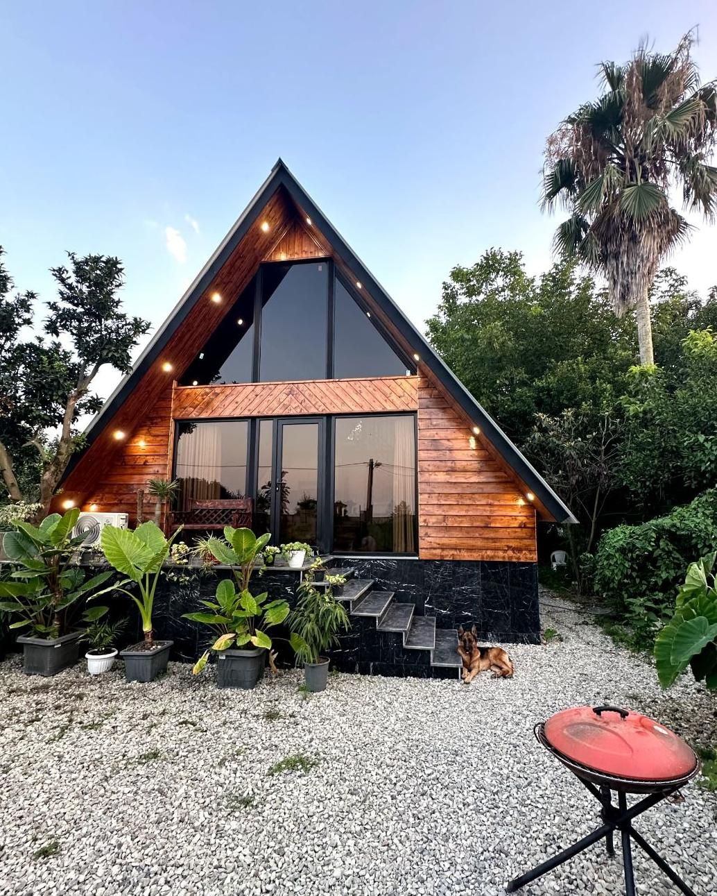 اجاره روزانه کلبه سوییسی جکوزی دار جنگلی|اجارهٔ کوتاه‌مدت ویلا و باغ|چالوس, |دیوار