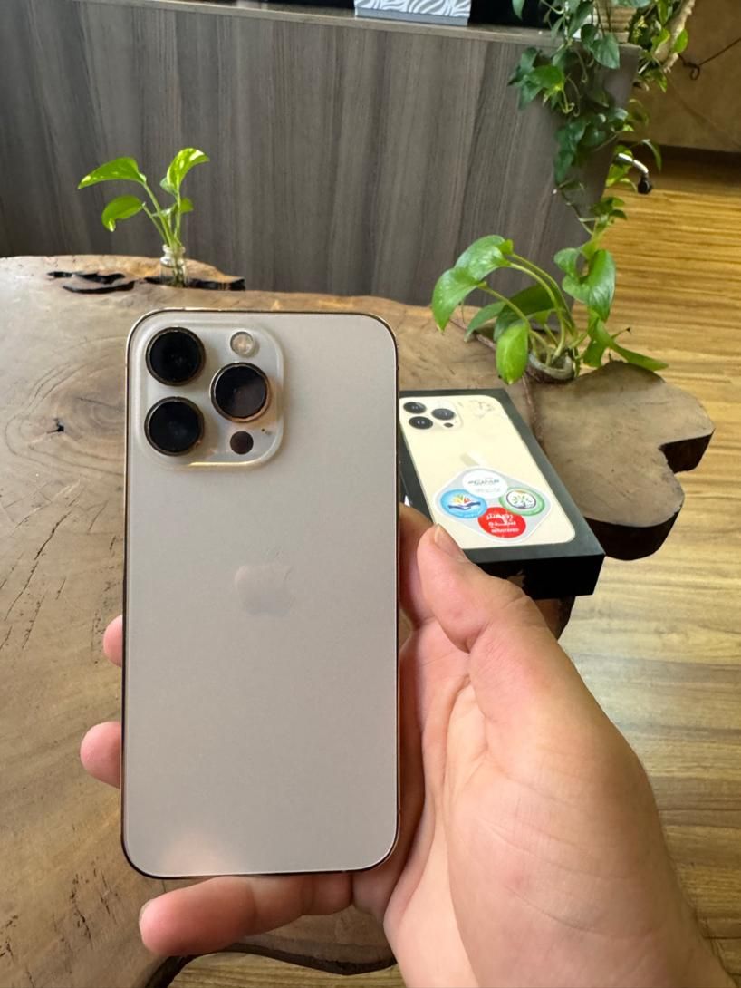 Iphone 13pro|موبایل|تهران, میدان ولیعصر|دیوار